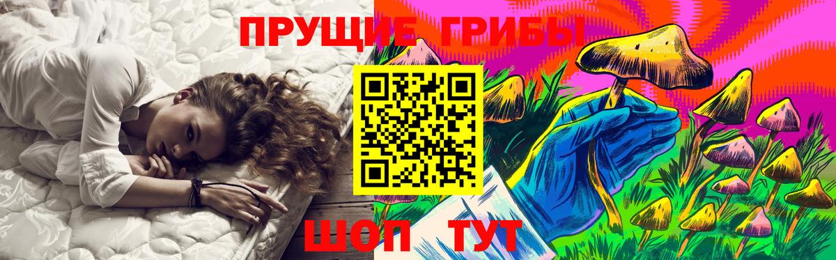 Псилоцибиновые грибы Cubensis Набережные Челны